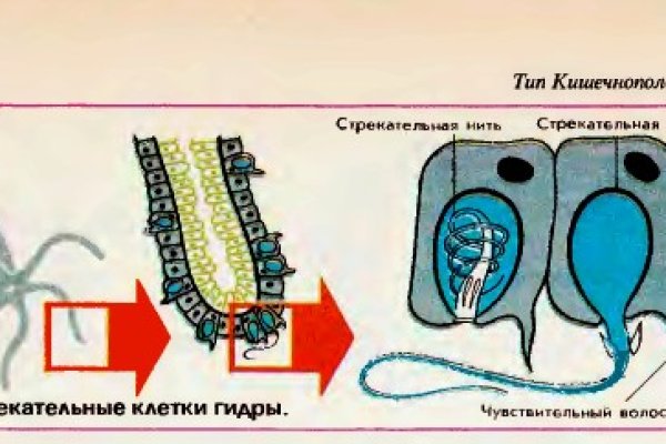 Кракен запрещенные вещества